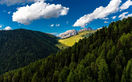 1257999 (a): :2560x1600